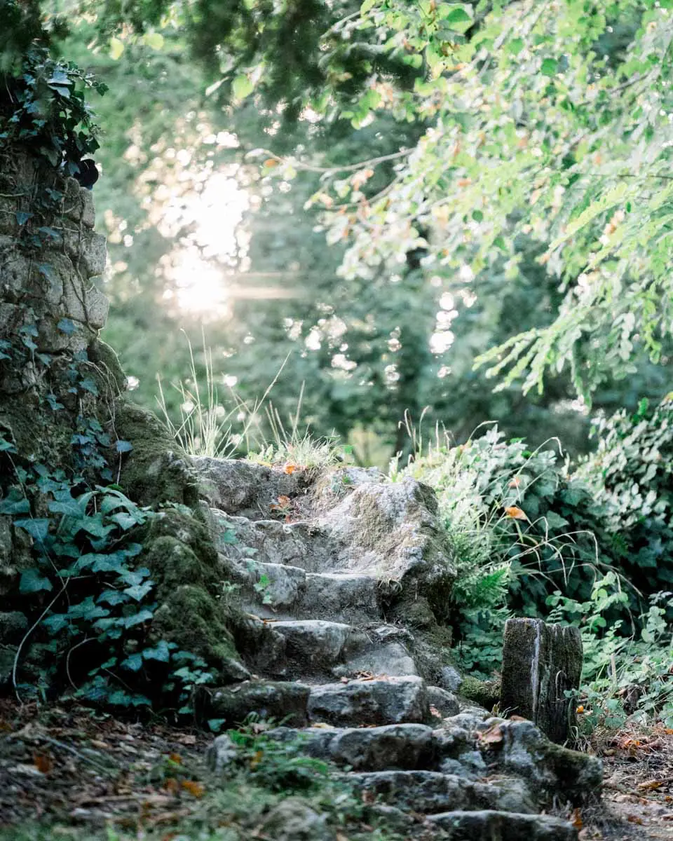 Escalier de pierre moussu dans la végétation du Parc Majolan